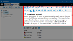 Editor